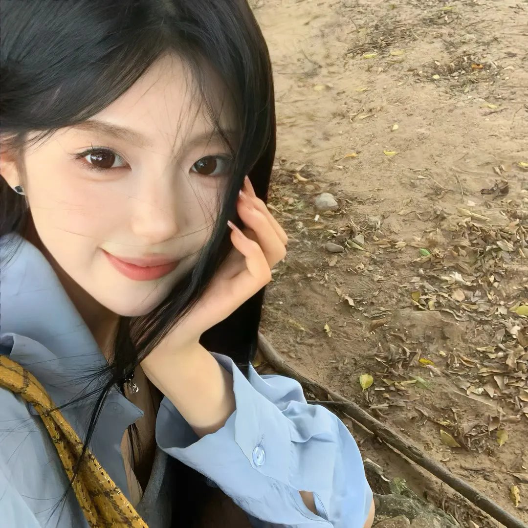 相思树